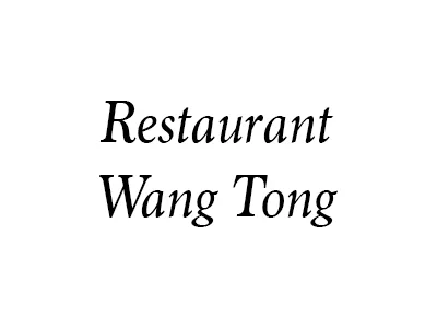 Logo de WANG TONG