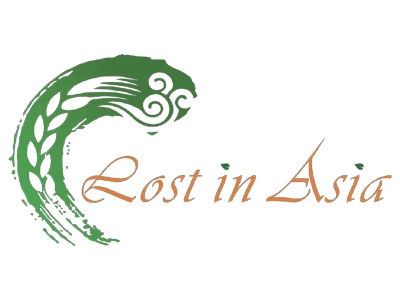 Logo de LOST IN ASIA