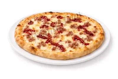 PIZZA SAMMICHELE
